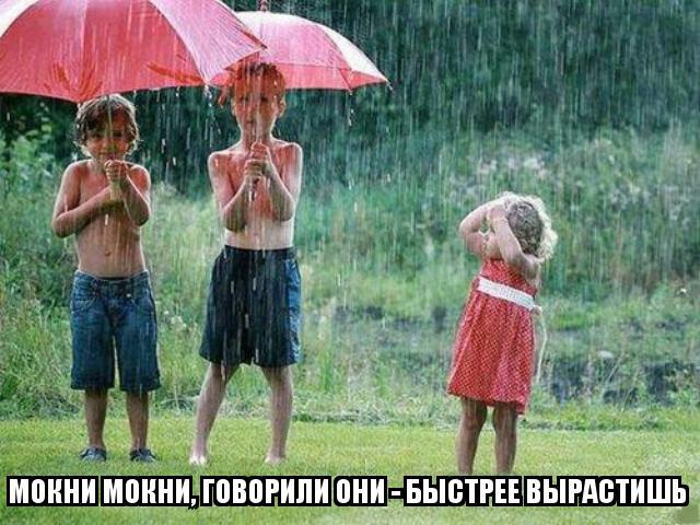 Из солянки