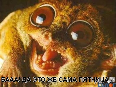 Из солянки