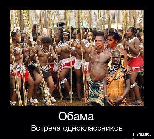 Из солянки