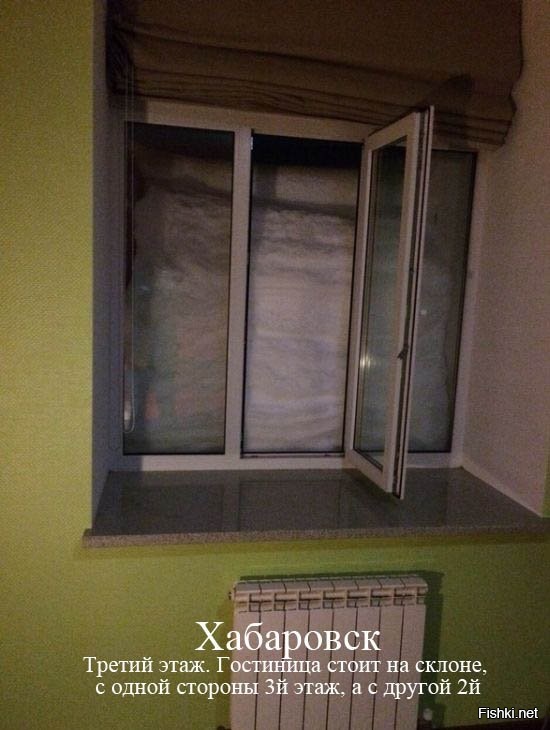 Из солянки