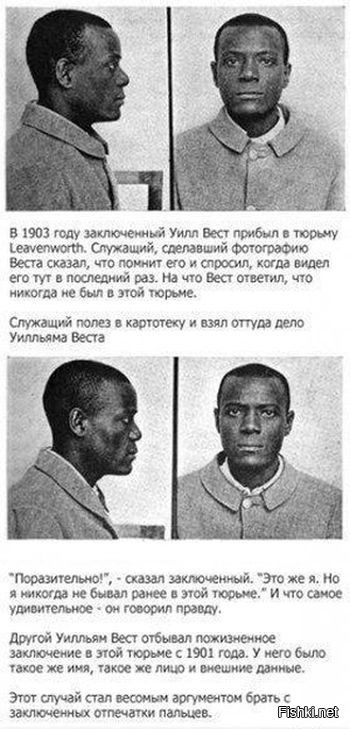 Из солянки