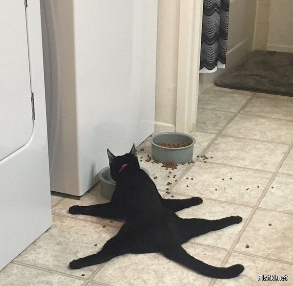 Из солянки