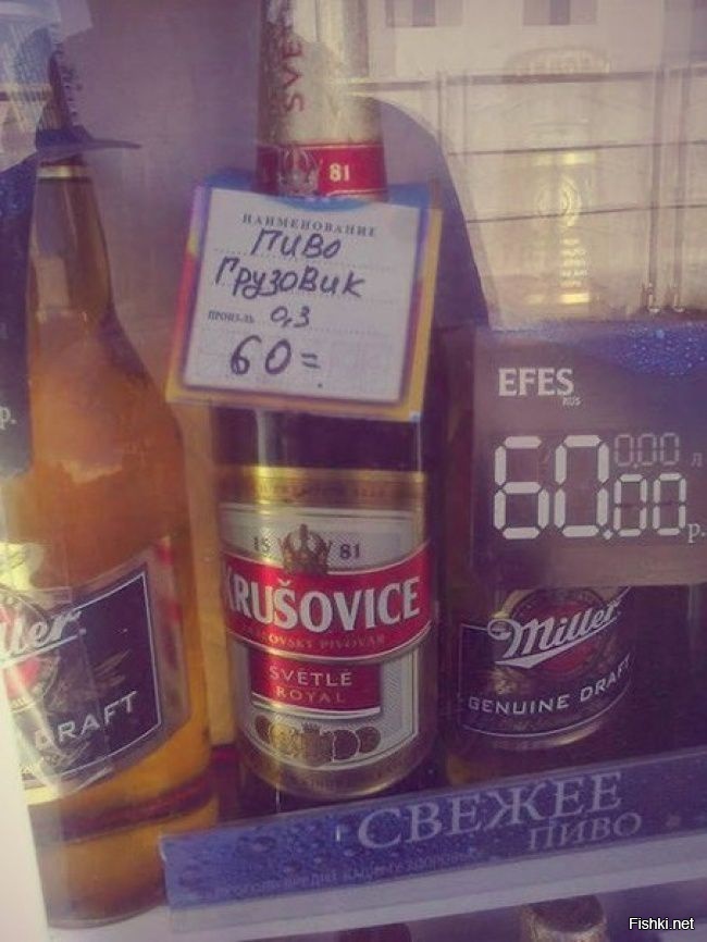 Из солянки