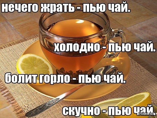 Из солянки