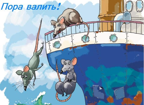 Исповедь одной московской крысы