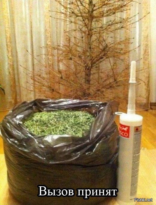 Из солянки