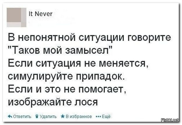 Из солянки