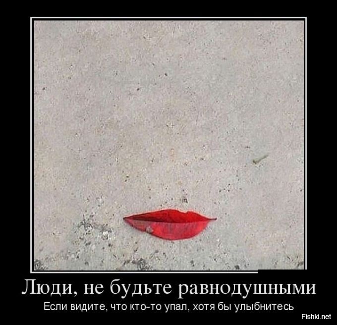 Из солянки