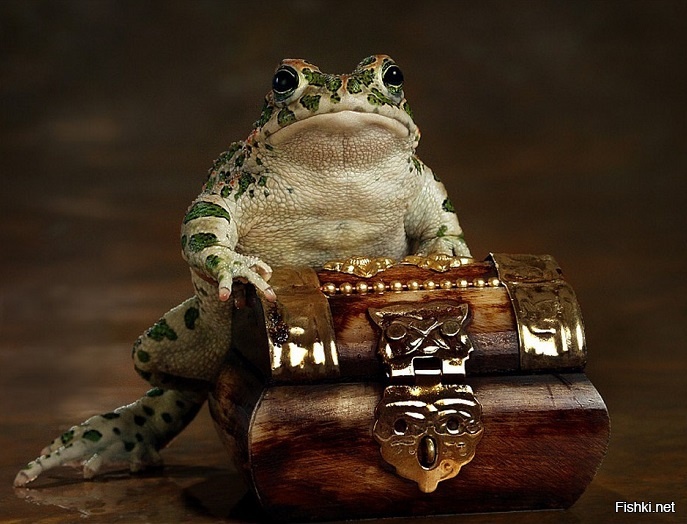 Царевна-лягушка с приданным