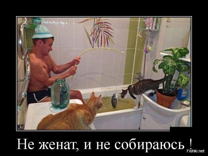 Из солянки