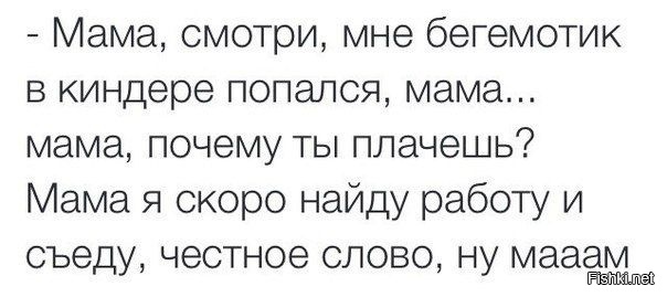 Из солянки