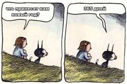 Из солянки