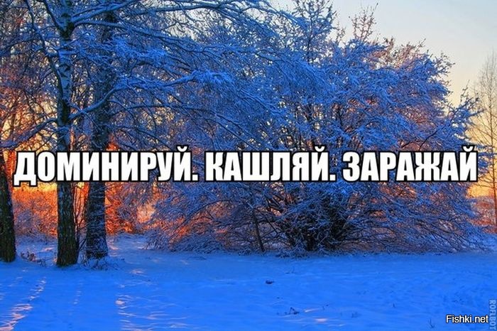 Из солянки