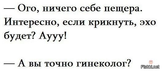 Из солянки