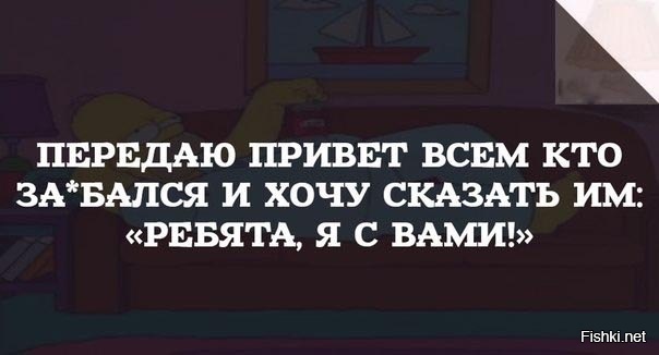 Из солянки