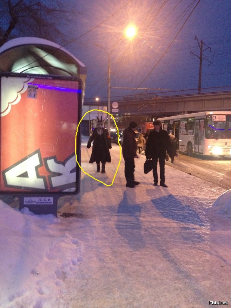 Из солянки