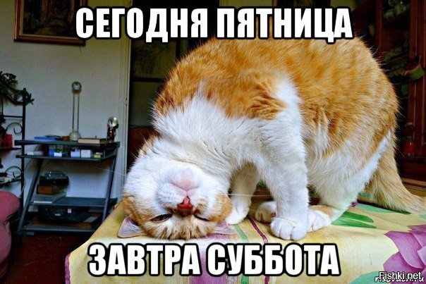 Из солянки