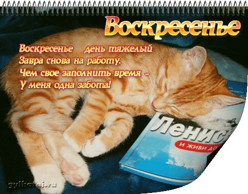 Из солянки