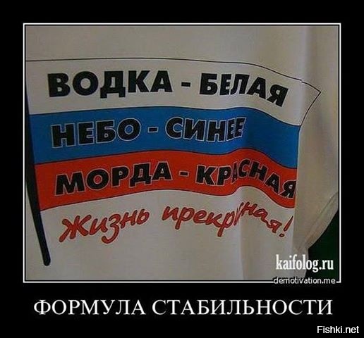 Из солянки