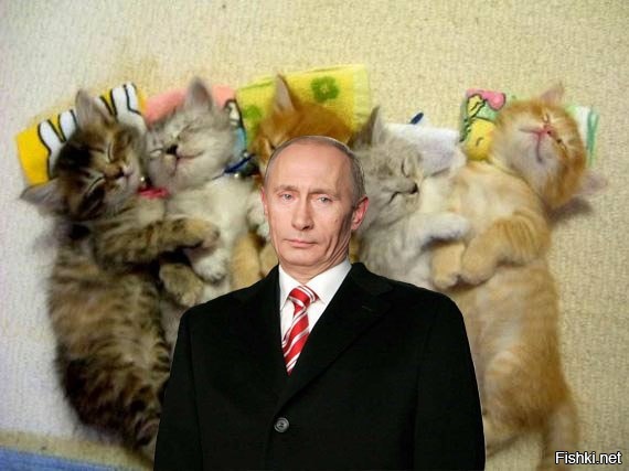Из солянки