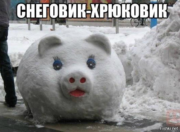 Из солянки