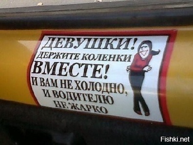 Из солянки