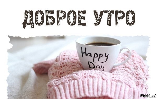 Из солянки