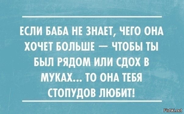 Из солянки