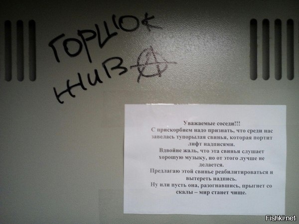 Из солянки