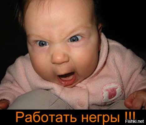 Из солянки