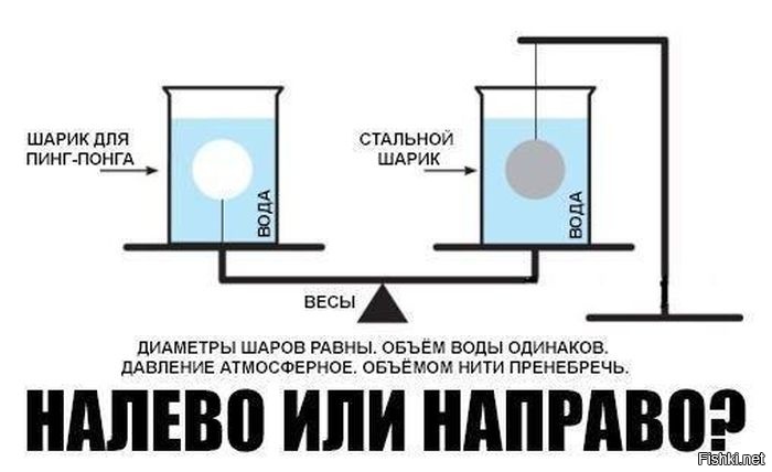 Из солянки