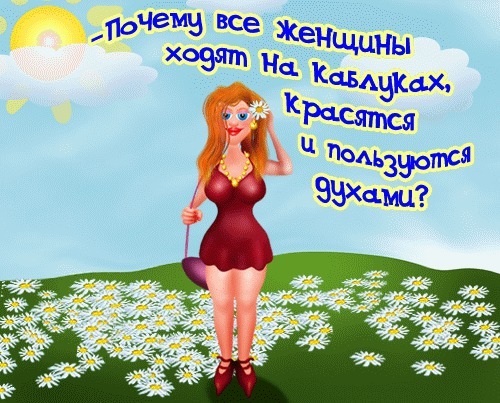 Из солянки