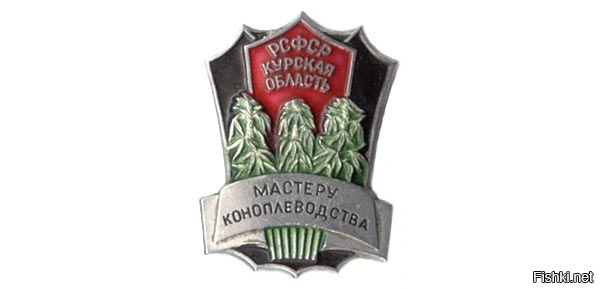 Из солянки