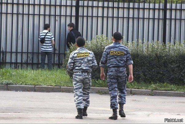 Из солянки