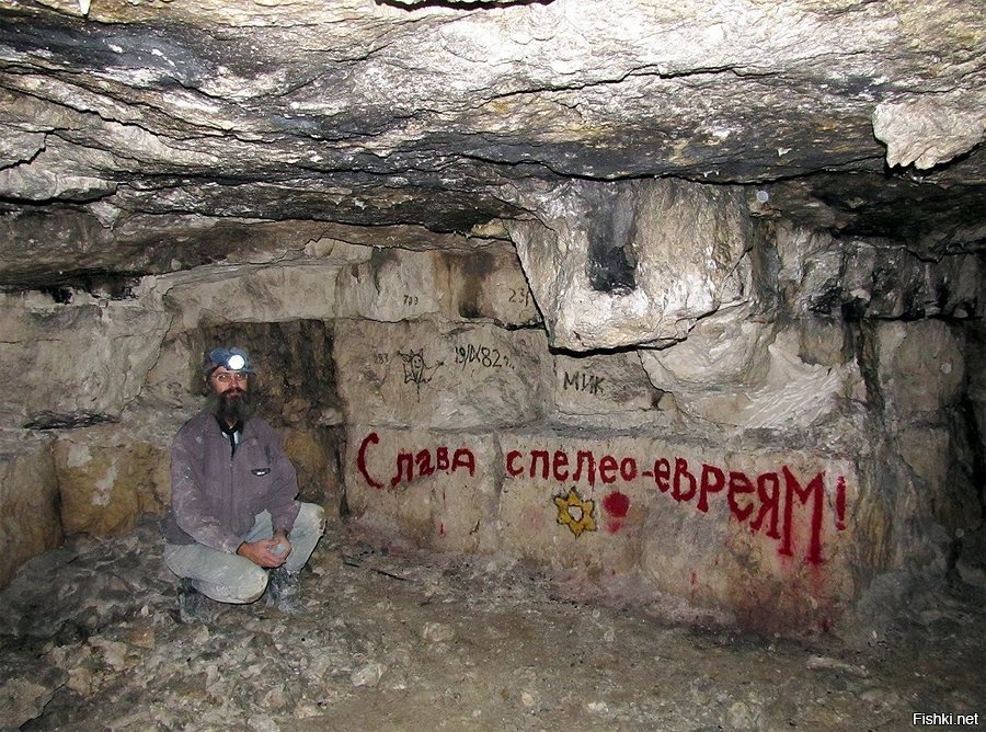 Из солянки