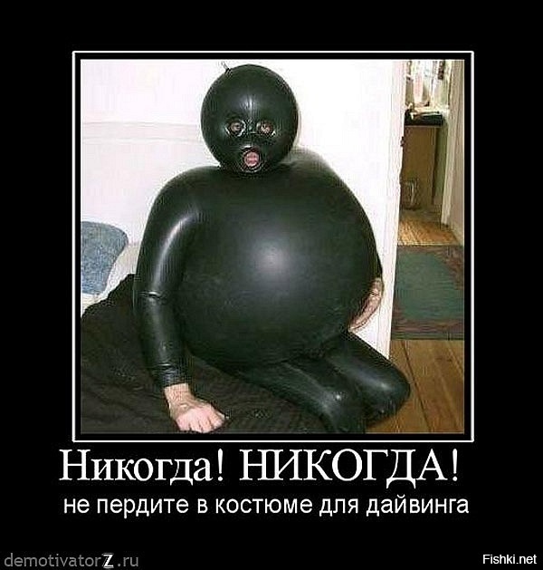 Из солянки