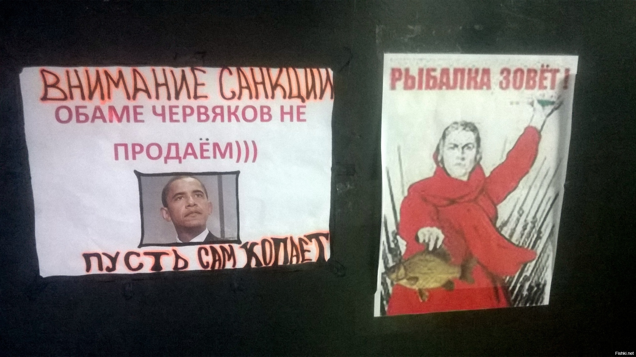 Из солянки