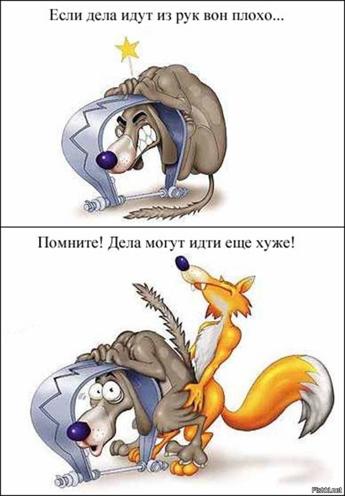 Из солянки
