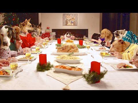 13 собак и 1 кот за одним Рождественским столом