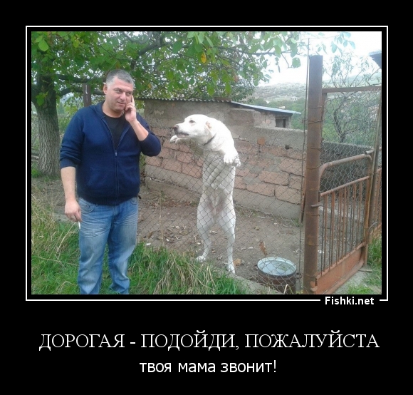  Дорогая - подойди, пожалуйста
