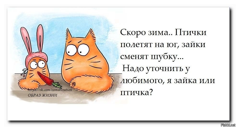 Из солянки