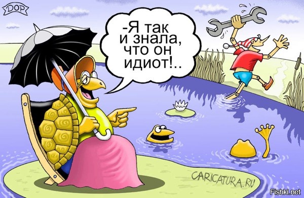 Из солянки