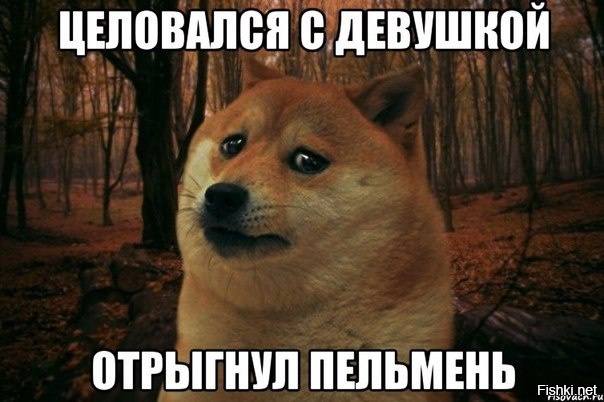 Из солянки