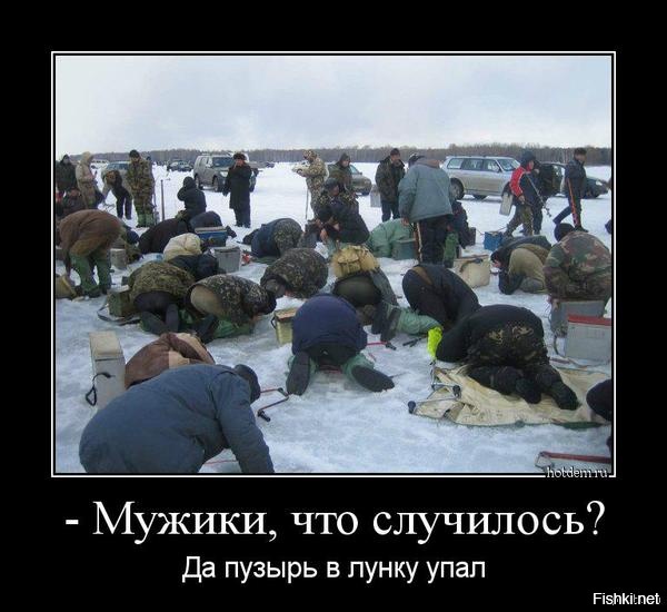 Из солянки