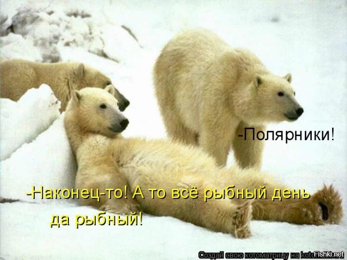 Из солянки