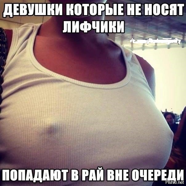 Из солянки