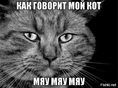 Из солянки