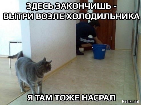 Из солянки