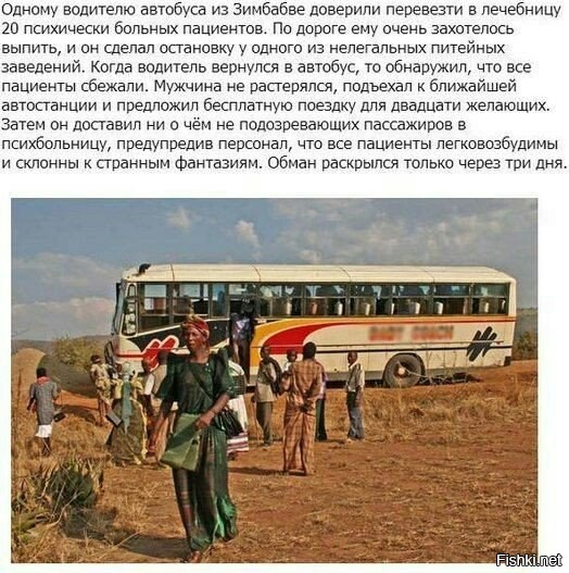 Из солянки