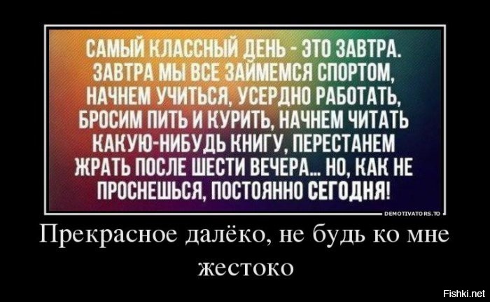Из солянки